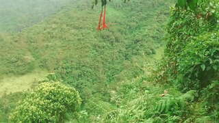 Колумбын Ой Өгөх Хэл, Fucked Танихгүй хүмүүстэй Бэлгийн хариуд Санхүүгийн Тусламж.