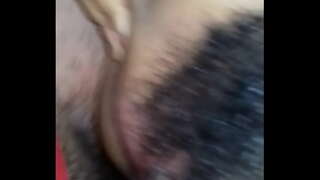 ���ਈ ਪਿਛੋਕੜ aflor