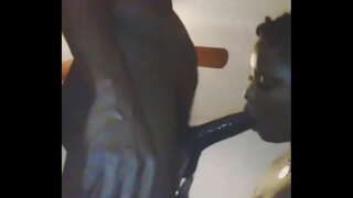 ���្មានអ្វីដូចជាឆ្កេញីមួយដែលស្រឡាញ់ដើម្បីបូមយកមេ